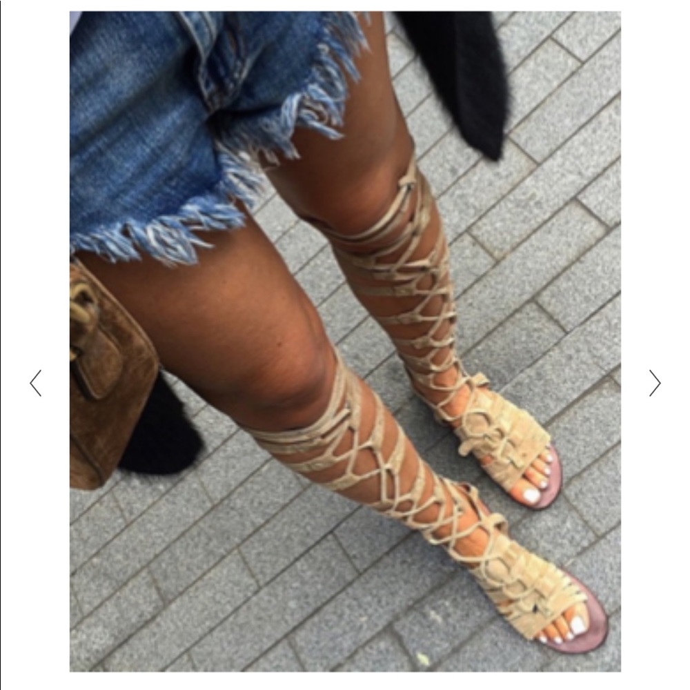 Free People Cypress Tall Gladiator Suede Sandals